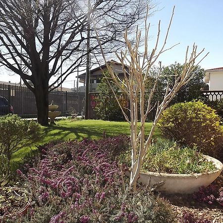 Il Gelsomino Bed & Breakfast Ferno Bagian luar foto