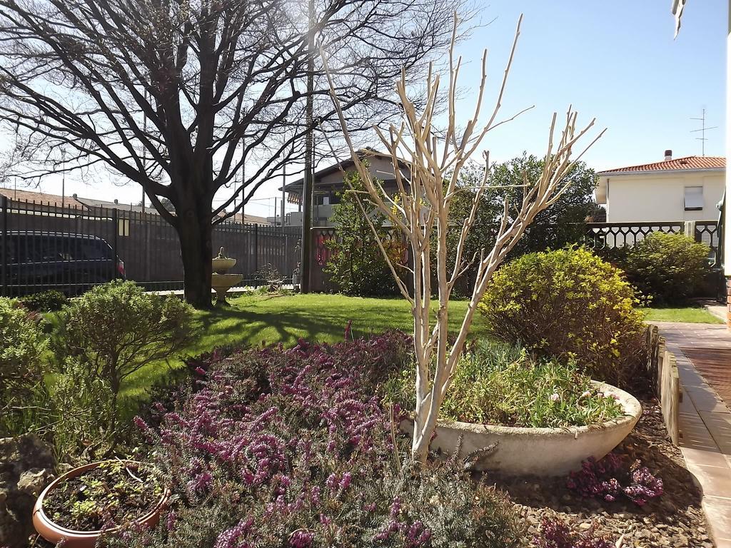 Il Gelsomino Bed & Breakfast Ferno Bagian luar foto